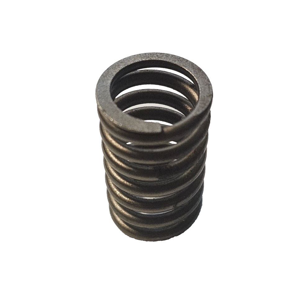 Injection Pump Spring Delphi | Fuel Injection Pump Spring | 25883