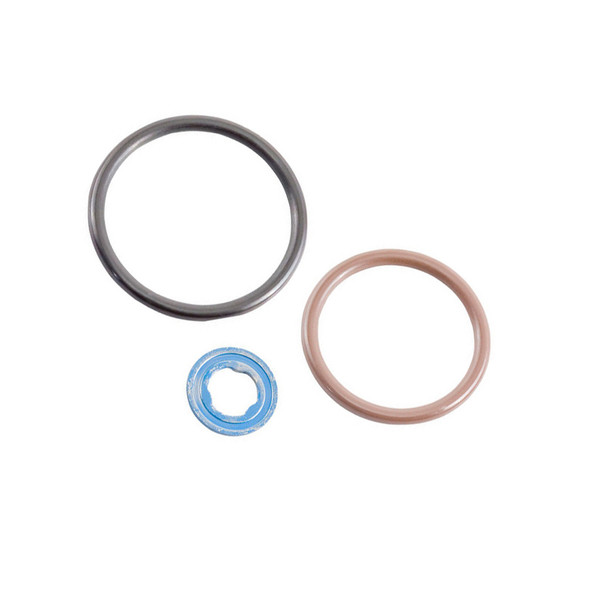 Grizzly | G2.9 Injector Seal Kit | GA60026