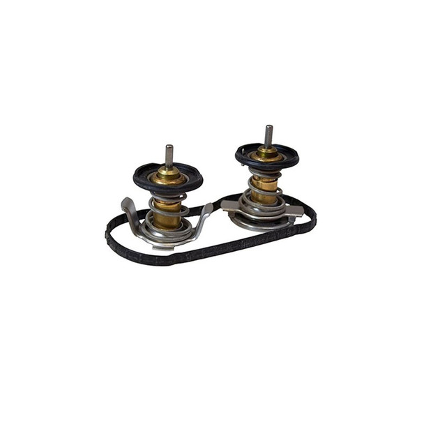 Grizzly | Thermostat Kit | GA33498