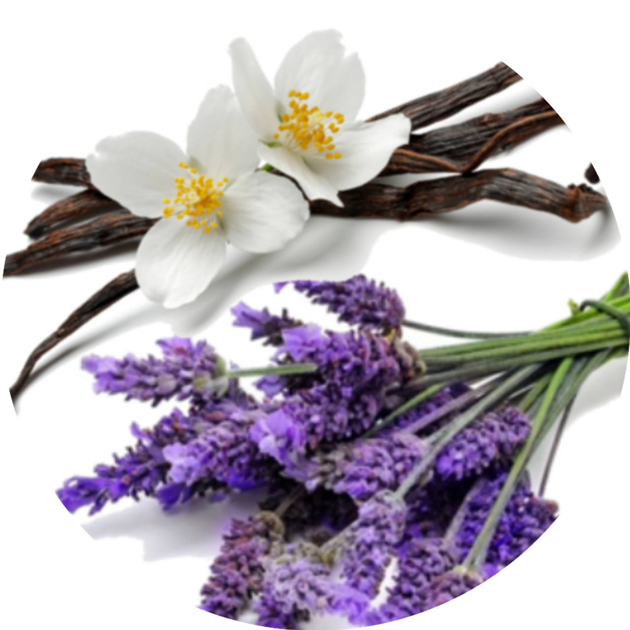 Lavender Vanilla Fragrance Oil