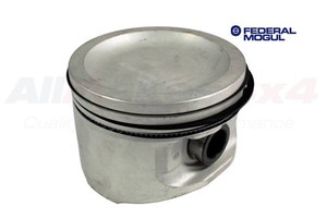ERR5554G-PISTON ASSY 4.6HC