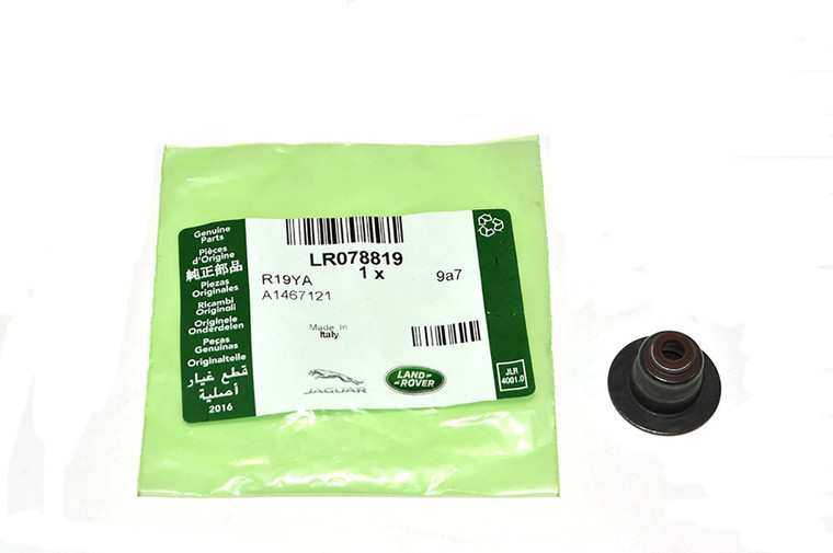 LR078819LR-SEAT - SPRING