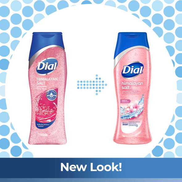Dial Body Wash, Skin Therapy Himalayan Pink Salt & Water Lily, 16 Fluid Ounces