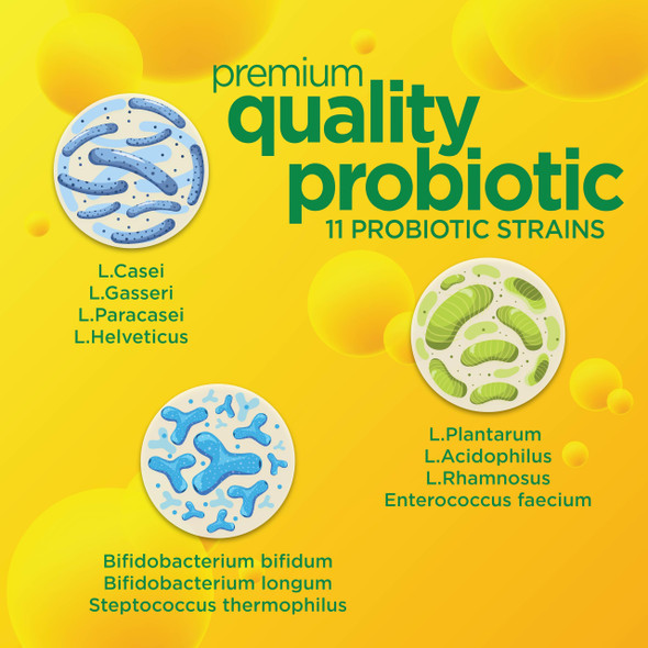 Daily Probiotic for Men & Women, Slows Digestive Aging, Boosts Immune System, Reduces Bloating, Non-GMO, Gluten Free & Soy Free, 10 Billion CFU, 30 Capsules