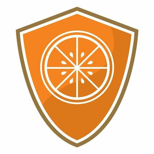 21st Century Vitamin C Tablets Antioxidant and Immune Support 500 mg 110 Count