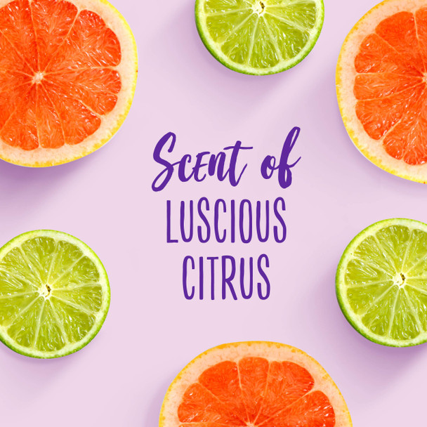 Aussie Paraben-Free Miracle Moist Conditioner w/Avocado & Jojoba Oil For Dry Hair, 12.1 fl oz