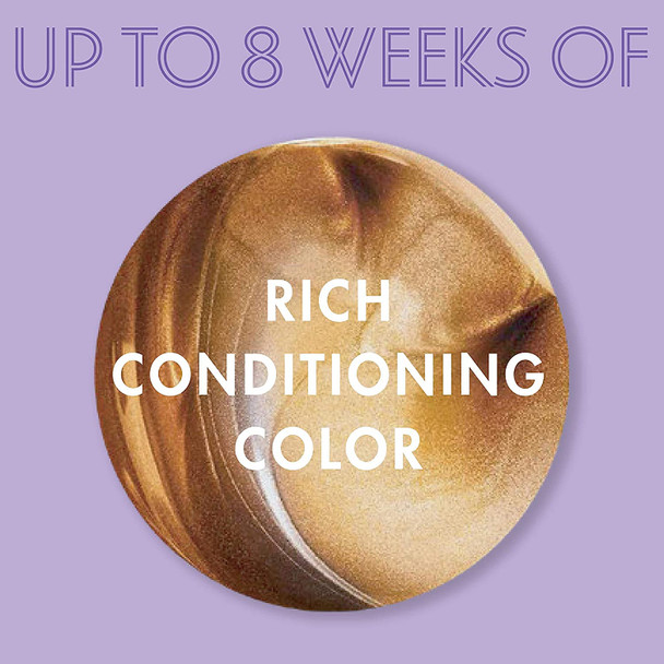 SoftSheen-Carson Dark and Lovely Fade Resist Rich Conditioning Color, Chestnut Blonde 380