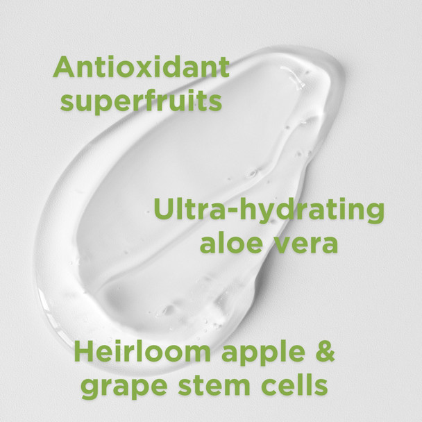 Andalou Naturals Citrus Sunflower Uplifting Shower Gel, 8.5 Ounce