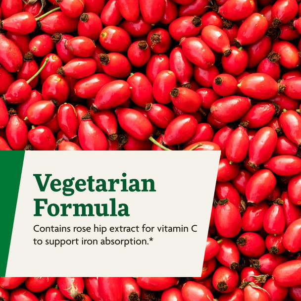 Floradix by Salus Iron & Herbs - Liquid Herbal Supplement for Energy Support* - Iron Supplement with Vitamin C & B Complex Vitamins - for Men & Women - 16.9 Fl Oz