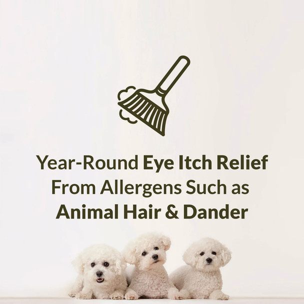 Alaway Bauch & Lomb Eye Itch Relief Drops (Pack of 6)