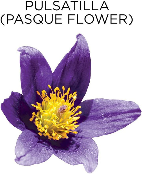 Kid's Ear Relief Drops .33 OZ