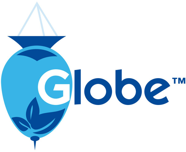 Globe Triple Antibiotic First Aid Ointment, 1 Oz. | 24-Hour Infection Protection, Treatment for Minor Scrapes, Burns and Cuts | (1 Tube)