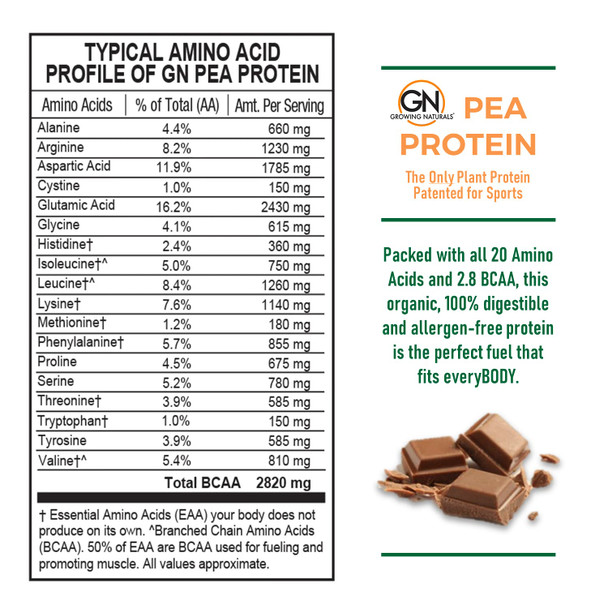 Growing Naturals Raw Pea Protein Powder, Vegan Plant Based Protein, BCAA, Low-Carb, Low-Sugar, Chocolate Power, 1 Pound (Pack of 1)