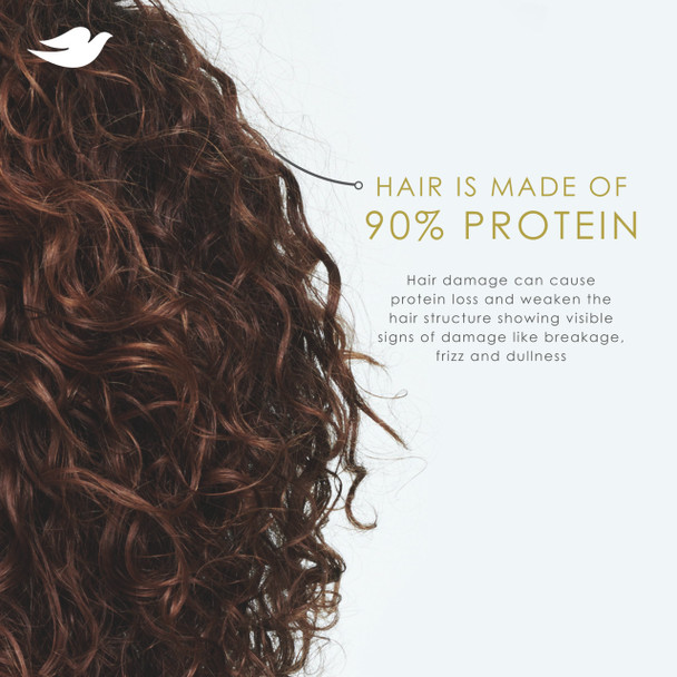 Dove Shampoo Coconut & Hydration for Dry Hair with Bio-Protein Care Technology and Coconut Oil 12 Fl Oz