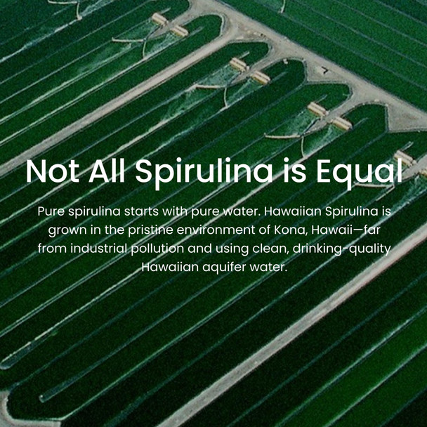 Nutrex Hawaii Pure Hawaiian Spirulina  Vegan Superfood, 500 mg Tablets, Farm Grown in Kona, Non-GMO, Immune Support & Cellular Energy, 200 Count