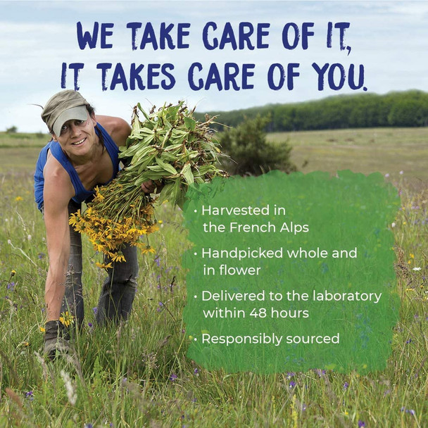 Boiron Arnicare Arthritis Tablets for Arthritis Pain Relief, Joint Soreness, and Rheumatic Pain - 60 Count