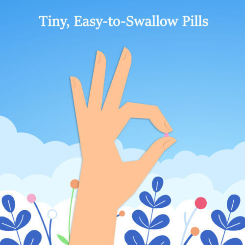 St. Joseph Low Dose Aspirin Pain Reliever Enteric Coated Tablets 81 mg 365 Ct