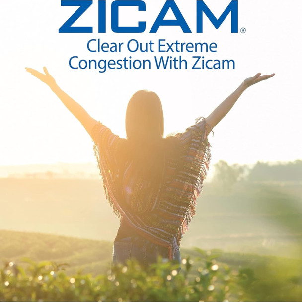 Zicam Extreme Congestion Relief Nasal Spray .5 Fl Oz