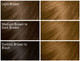 SoftSheen-Carson Dark and Lovely Fade Resist Rich Conditioning Color, Chestnut Blonde 380