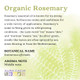 Aura Cacia Aromatherapy Rosemary Essential Oil Organic 0.25 Oz. Bottle