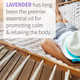Garden of Life Essential Oil, Lavender 1 fl oz (30 mL), 100% USDA Organic & Pure, Clean, Undiluted & Non-GMO - for Diffuser, Aromatherapy, Meditation, Skincare, Sleep - Calming, Relaxing, Soothing