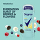 Degree Dry Protection Antiperspirant Deodorant - Fresh - 2.6 oz