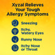 Xyzal 24 Hour Allergy Relief Medicine, Original Prescription Strength Antihistamine, Levocetirizine Dihydrochloride Tablets 5 mg, 55 Count