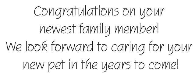 CONGRATS1 - Standard Message
