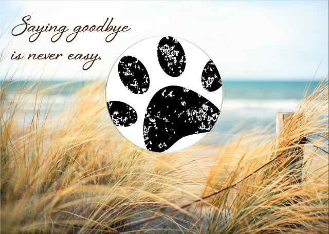 SDBEACH - with sample of stamped paw print