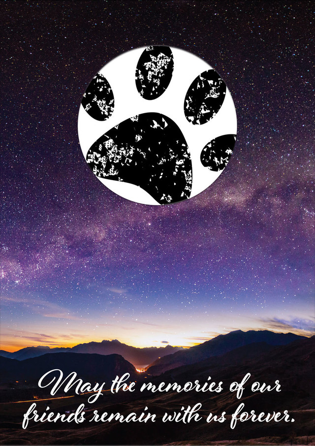 SDNIGHT - with sample of stamped paw print