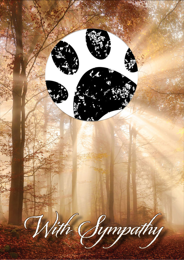 SDWOODS - with sample of stamped paw print