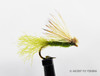 Olive X Caddis