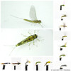 Blue Winged Olive Mayfly Selection