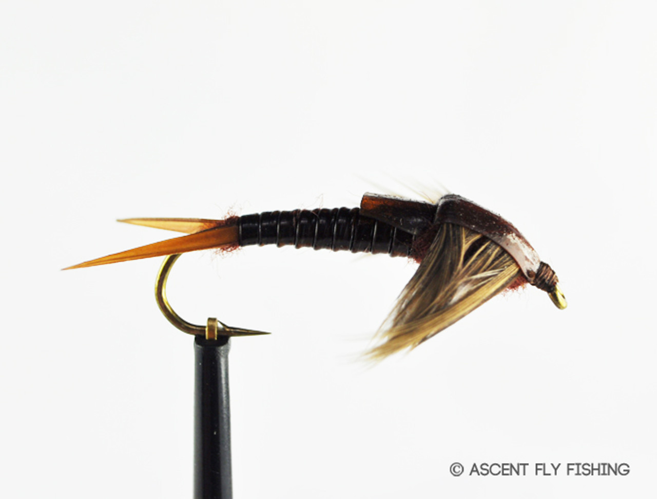  Ascent Fly Fishing Stonefly Nymph Selection (Small