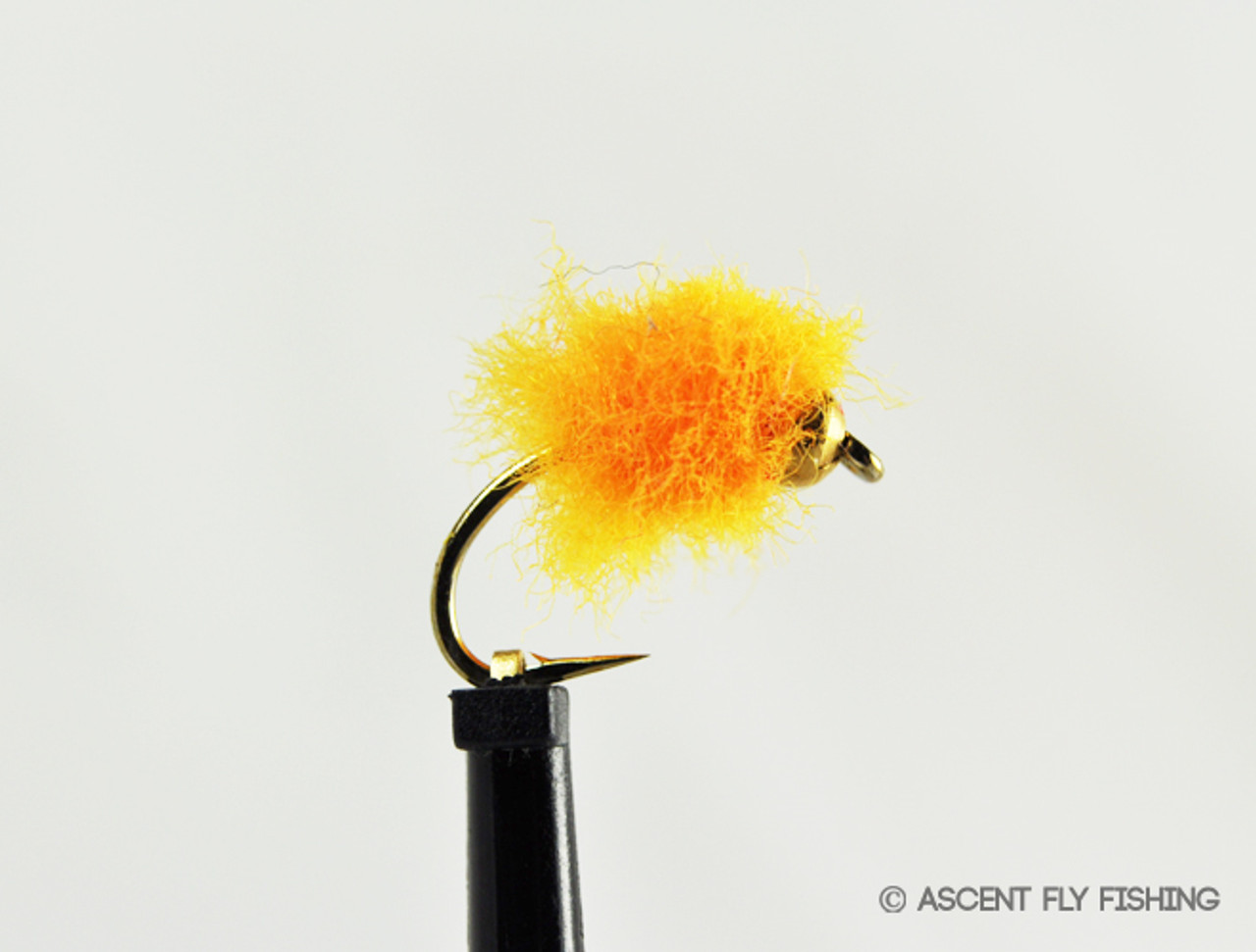 Beadhead Loop Egg - Ascent Fly Fishing