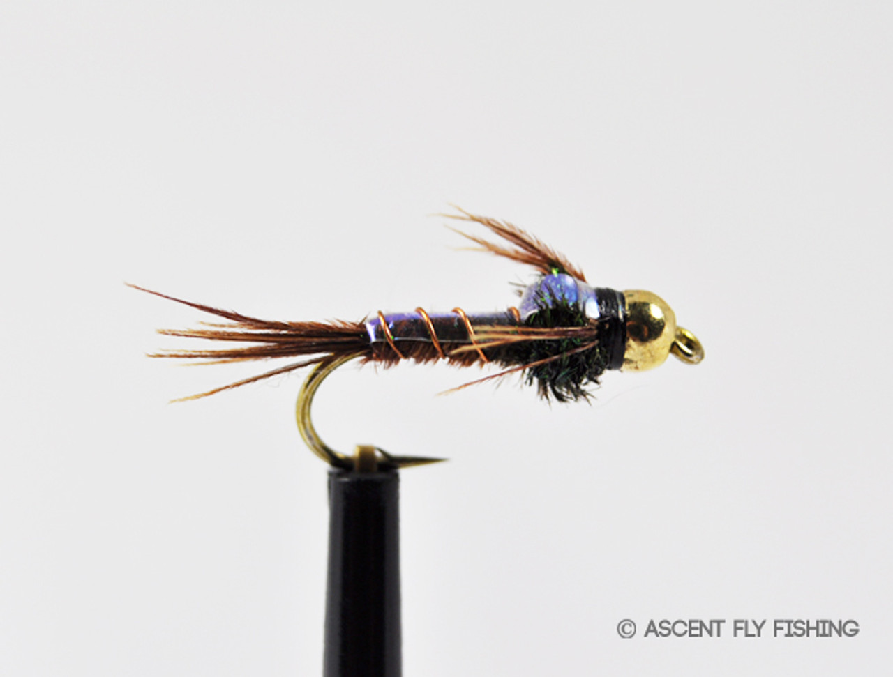 Beadhead Flashback Pheasant Tail - Ascent Fly Fishing