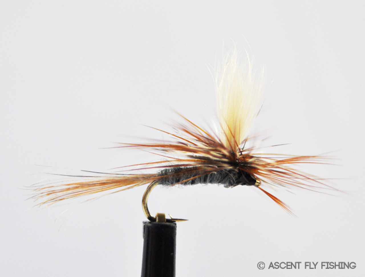 Parachute Cricket - Ascent Fly Fishing