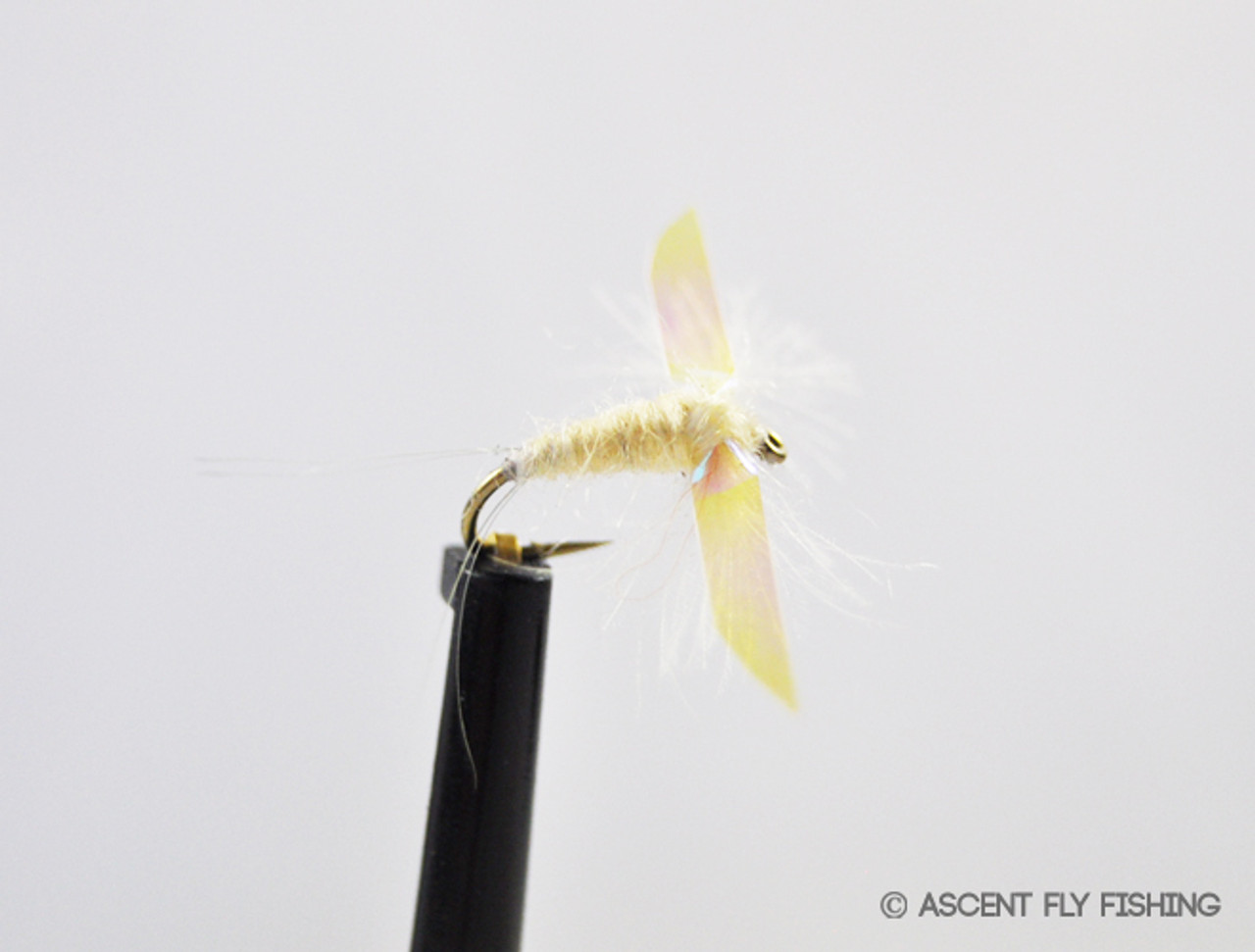 PMD Pearlwing Spinner - Ascent Fly Fishing