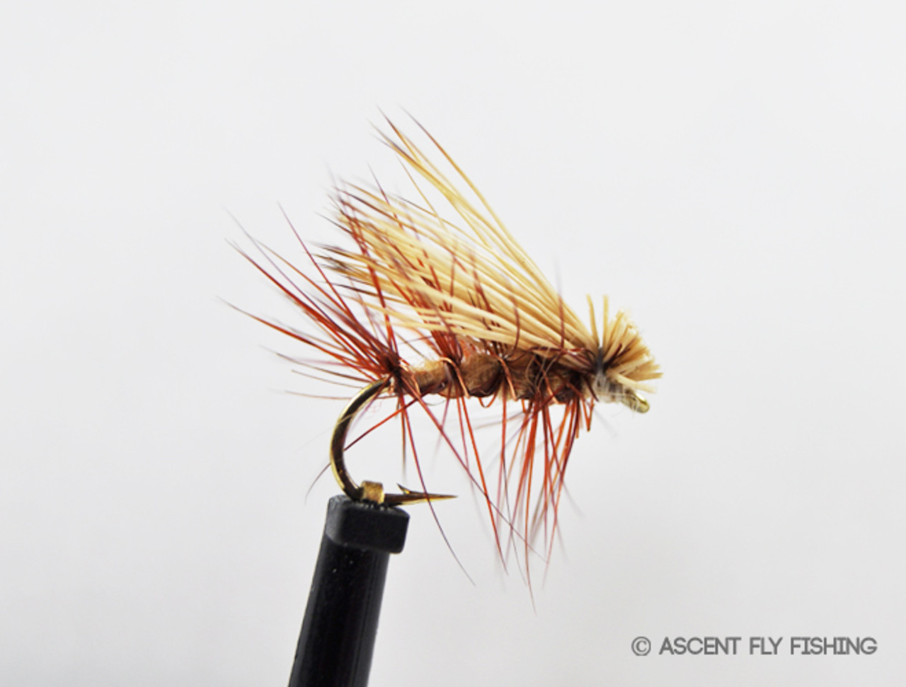 Elk Hair Caddis - Ascent Fly Fishing