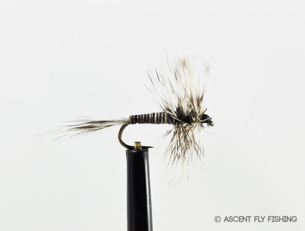 Mosquito Dry Fly - Ascent Fly Fishing