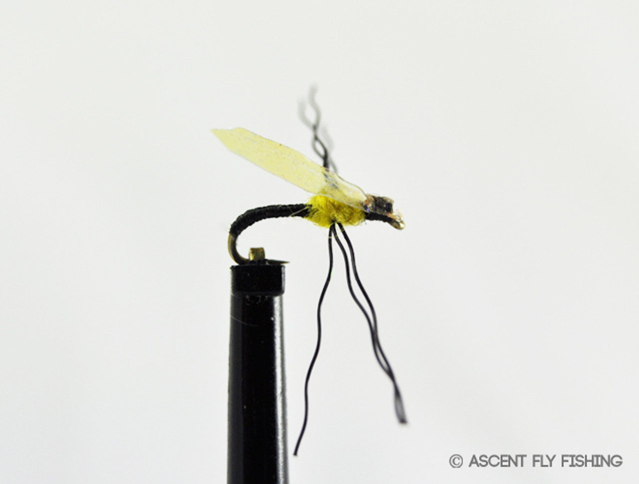 Magic Midge - Ascent Fly Fishing