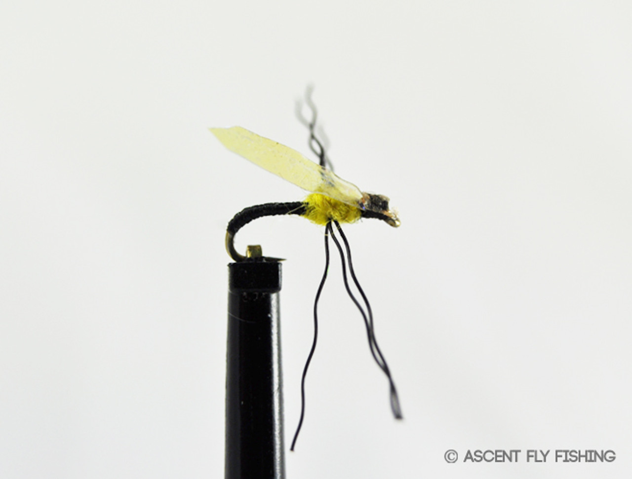 Loaded Midge Box - Ascent Fly Fishing