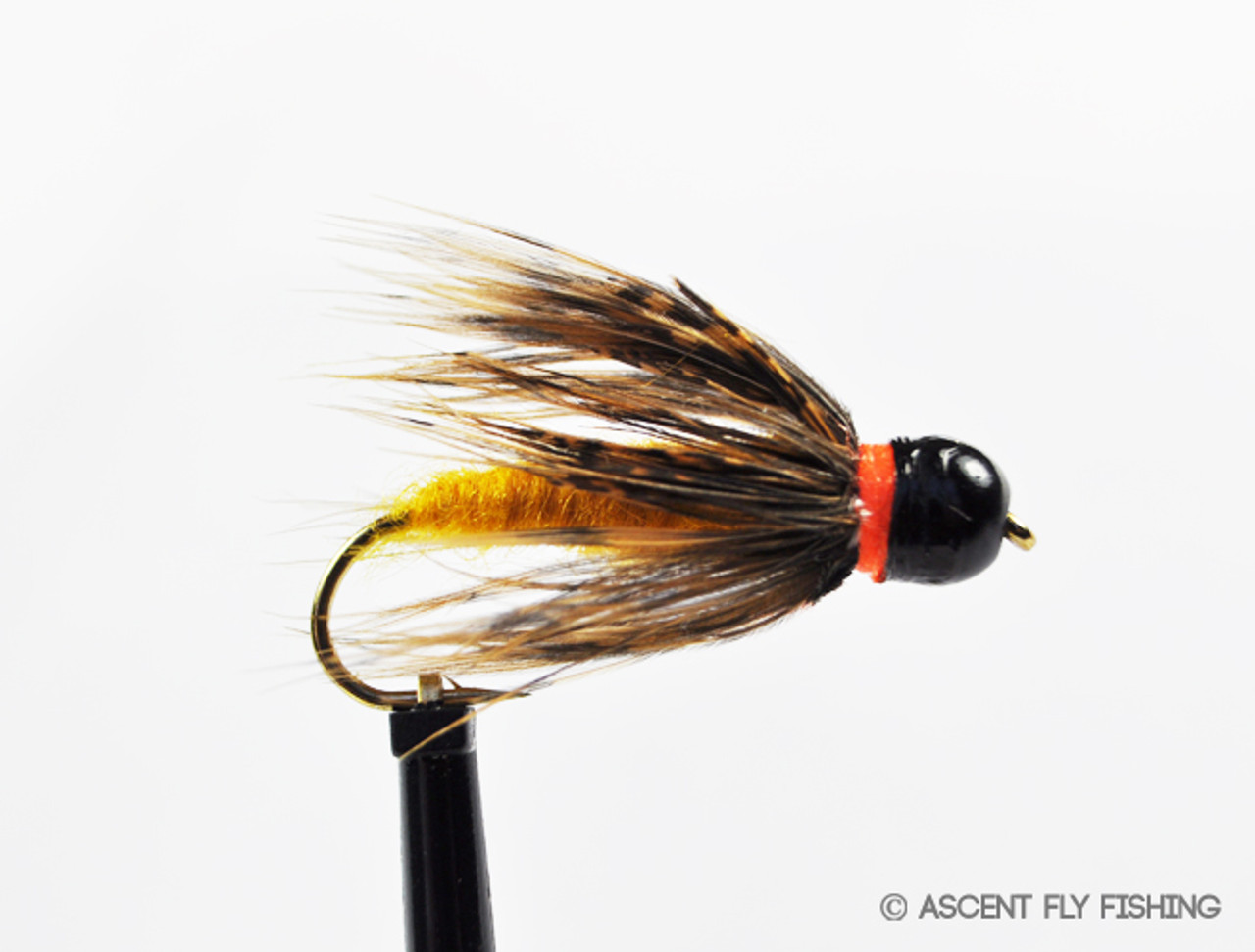 October Caddis Pupa - Ascent Fly Fishing