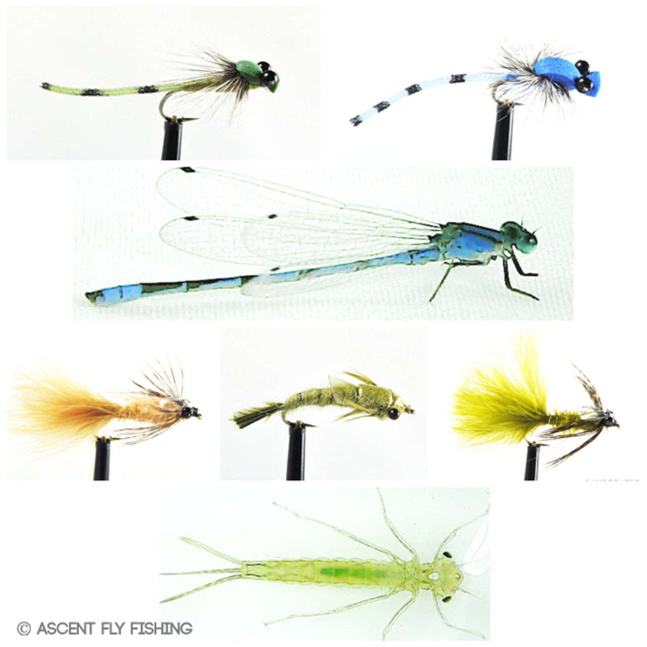 Sigma Damsel Nymphs Fly Set, Sigma Fly Sets