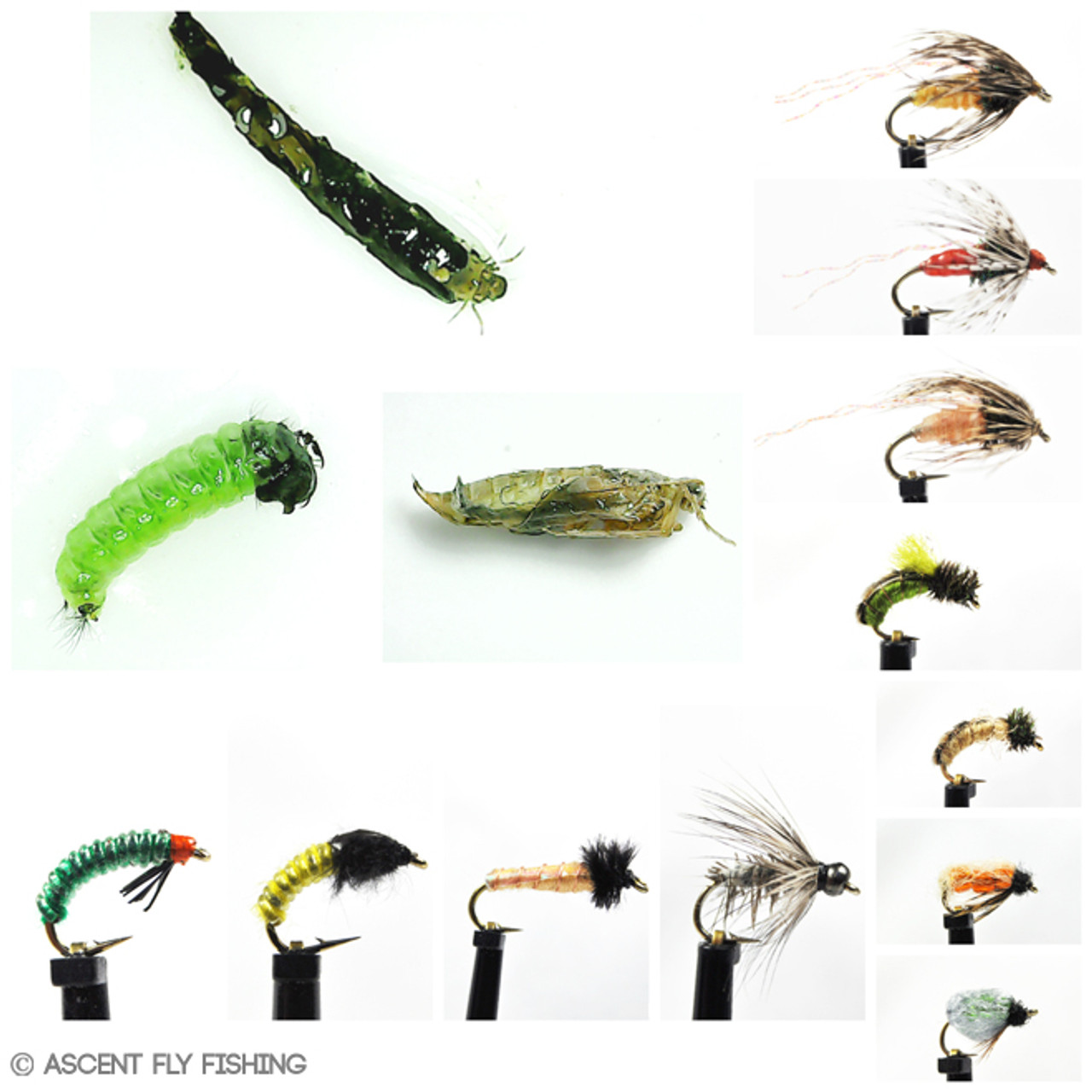 Wet Caddisfly Selection - Ascent Fly Fishing