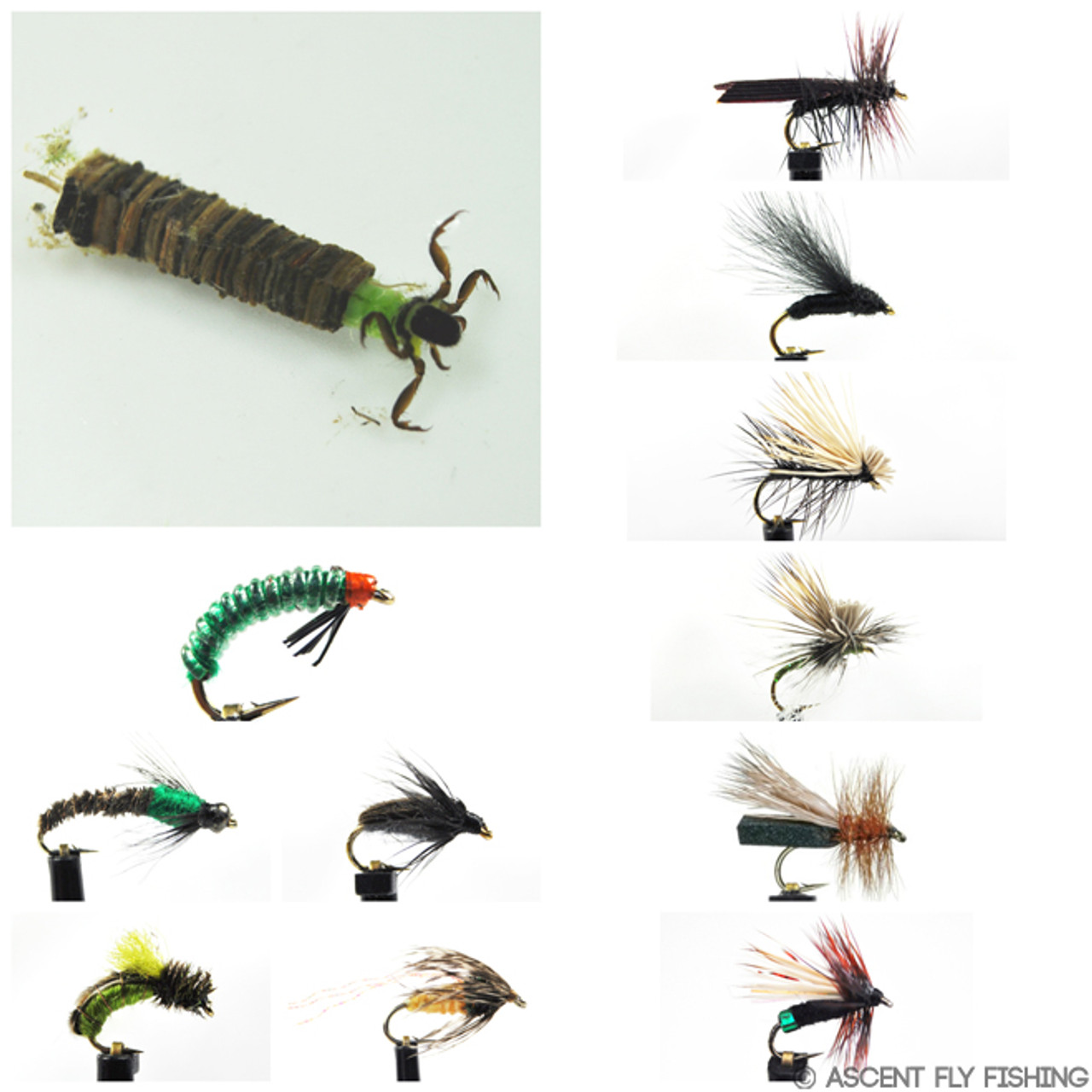 Black Caddis Selection - Ascent Fly Fishing