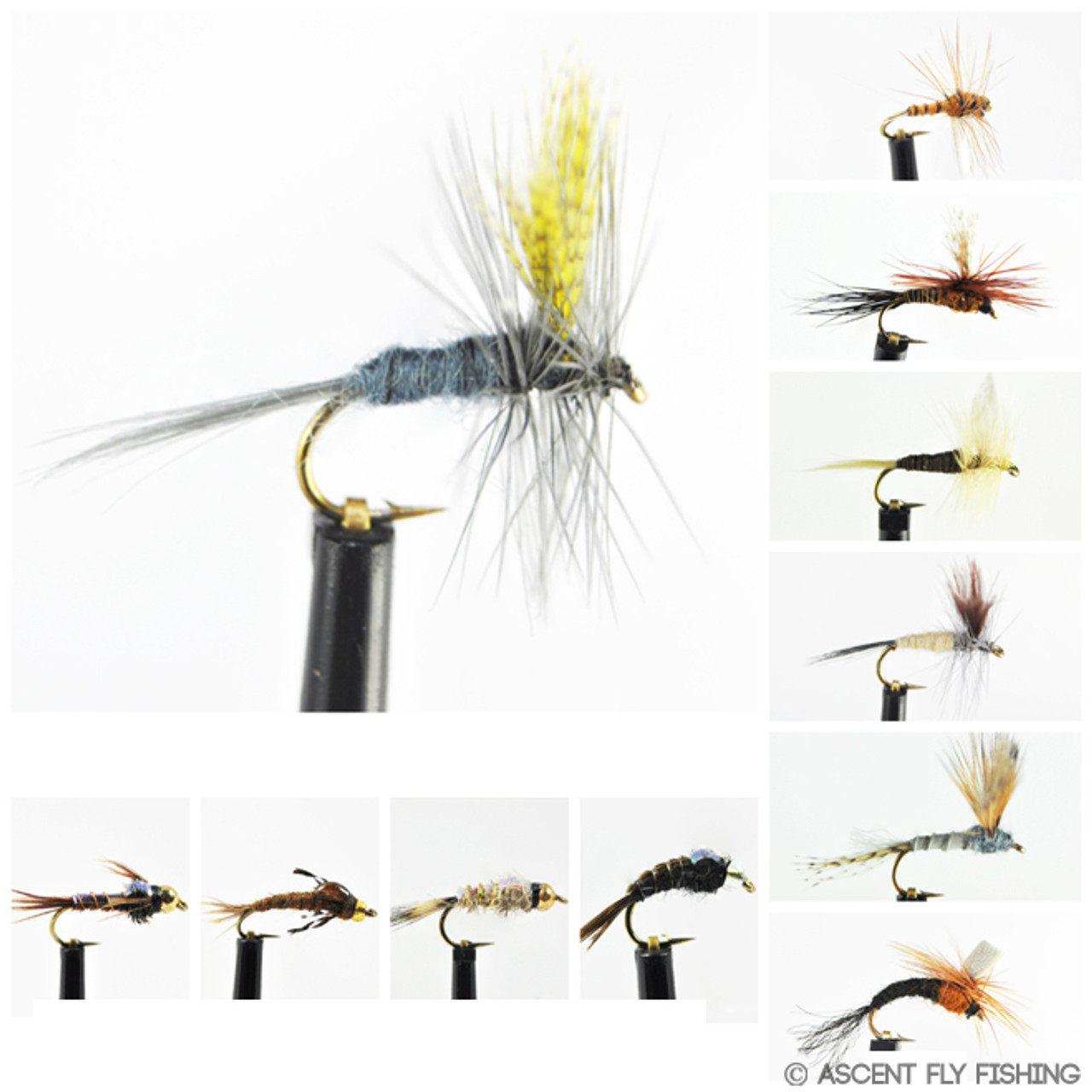 Hendrickson Mayfly Selection - Ascent Fly Fishing