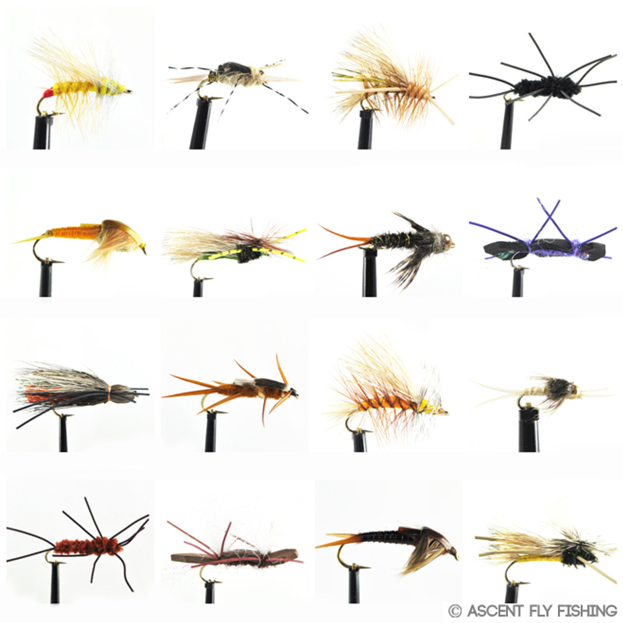 Deadly Dozen Stonefly Selection - Ascent Fly Fishing