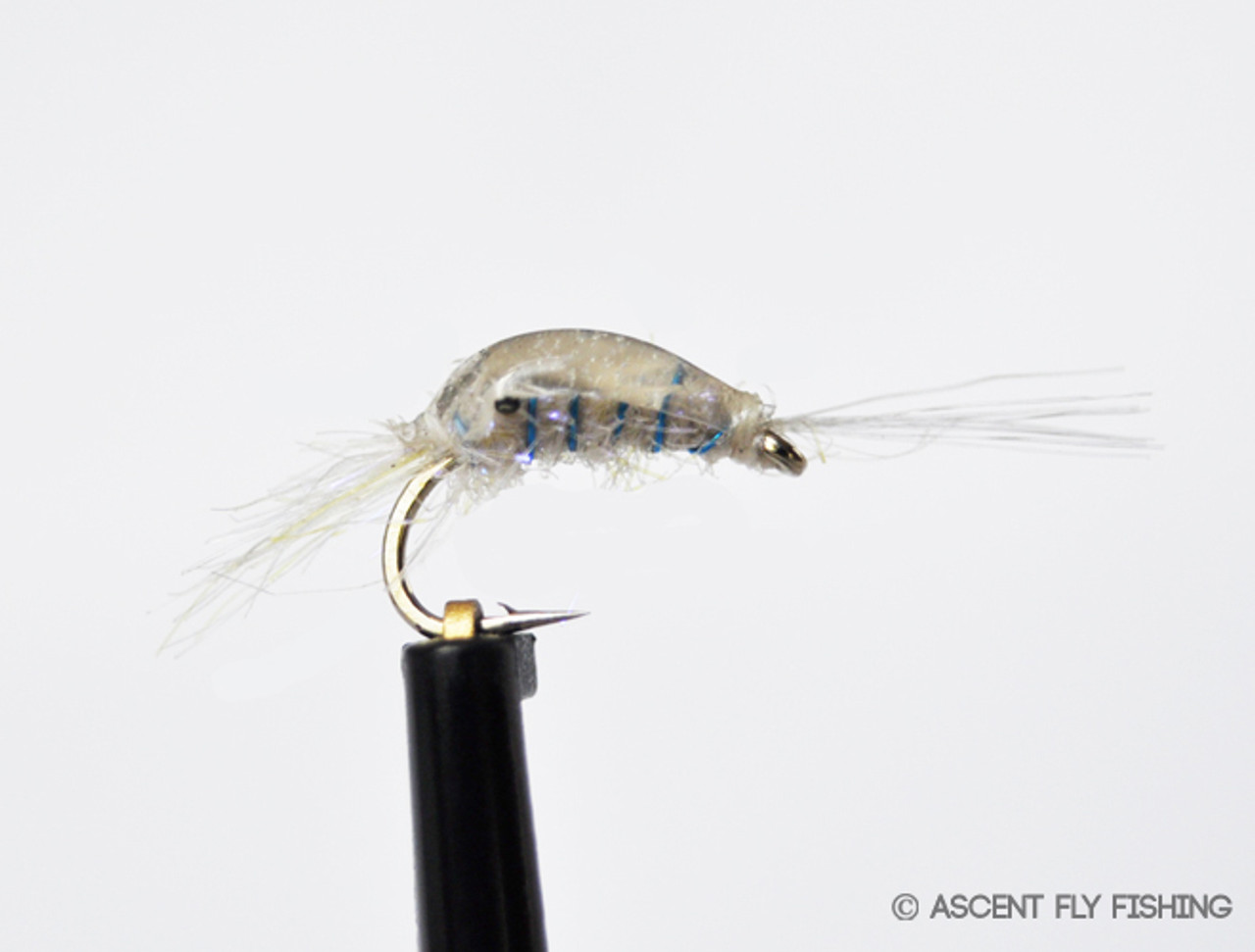 BTS Blueberry Mysis - Ascent Fly Fishing