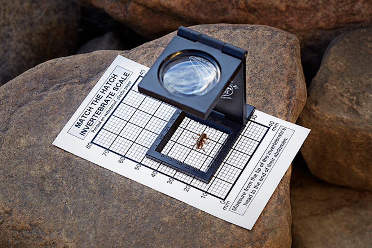 Fly Fishing Invertebrate Magnifier